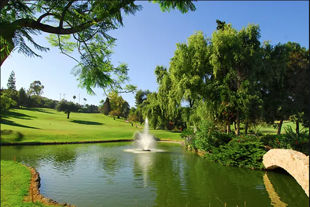 Final del Ranking Nacional de Pitch & Putt los días 16 y 17 de noviembre en Club de Golf Aloha (San Pedro de Alcántara, Málaga) 
