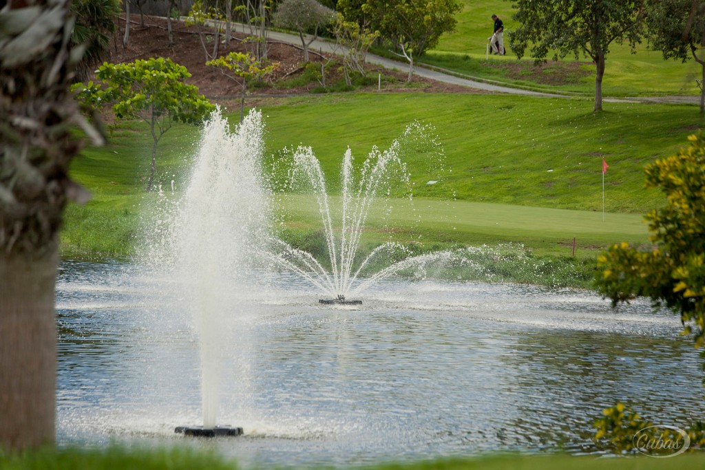 APLAZADO Campeonato Provincial de Las Palmas Individual de Pitch&Putt 2020 Las Palmeras Golf