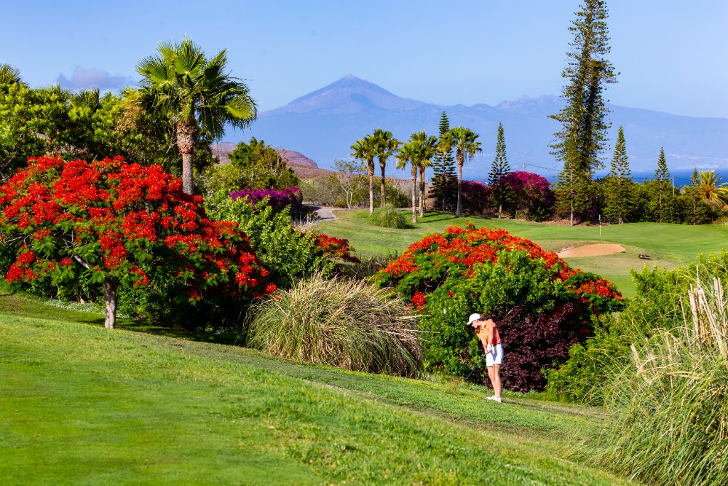 CAMPEONATO DE SANTA CRUZ DE TENERIFE JUVENIL - OFERTA ALOJATIVA