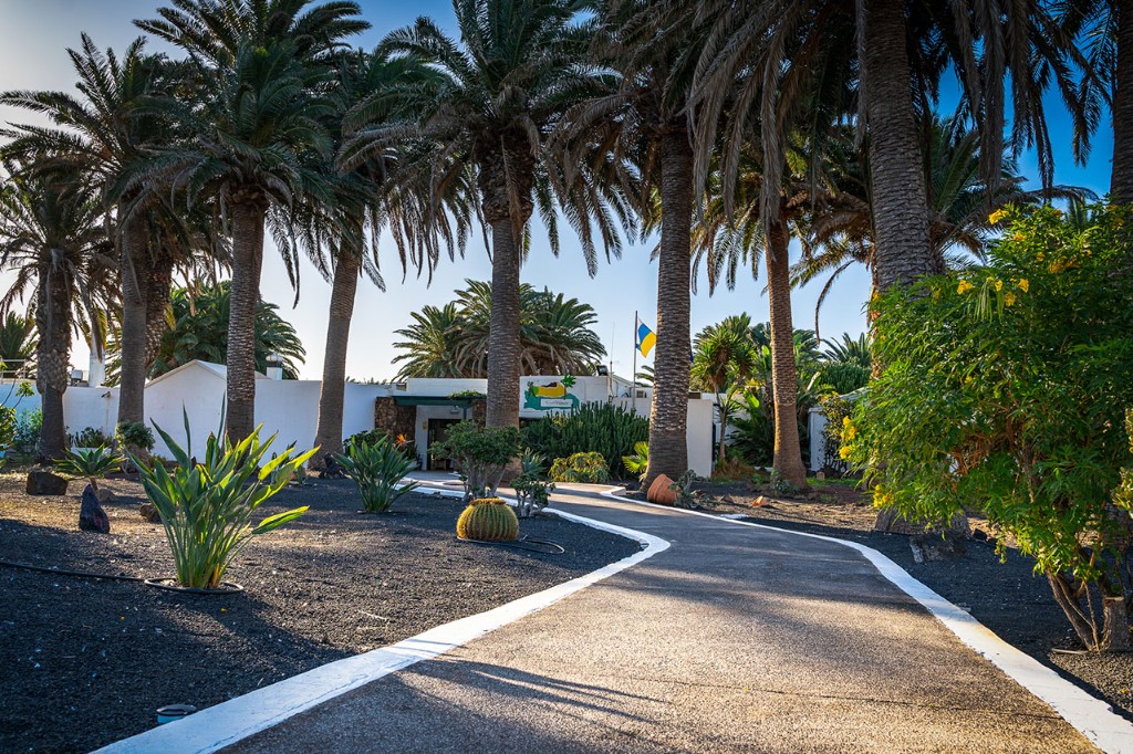 LISTADO PROVISIONAL INSCRITOS CAT. ORO (SÁBADO) - I Prueba Circuito Amateur Regional - Costa Teguise Golf - 21 Y 22 de marzo 2026