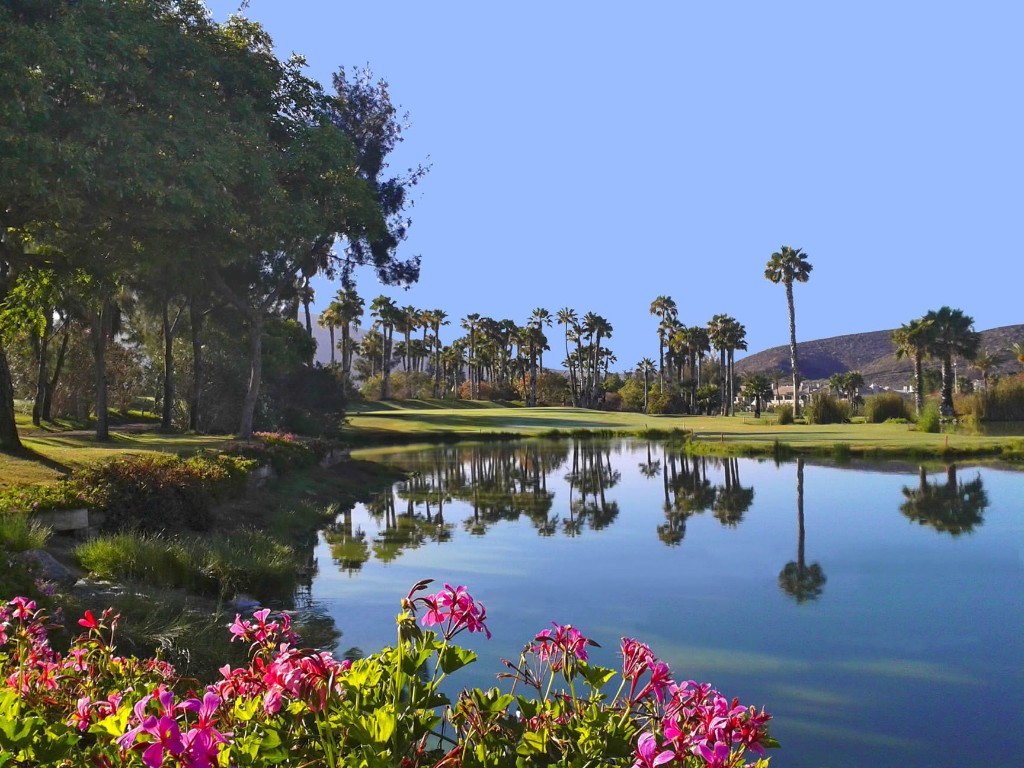 Prueba Circuito Amateur Regional 2026 - Golf Las Américas 